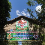 DSC01997